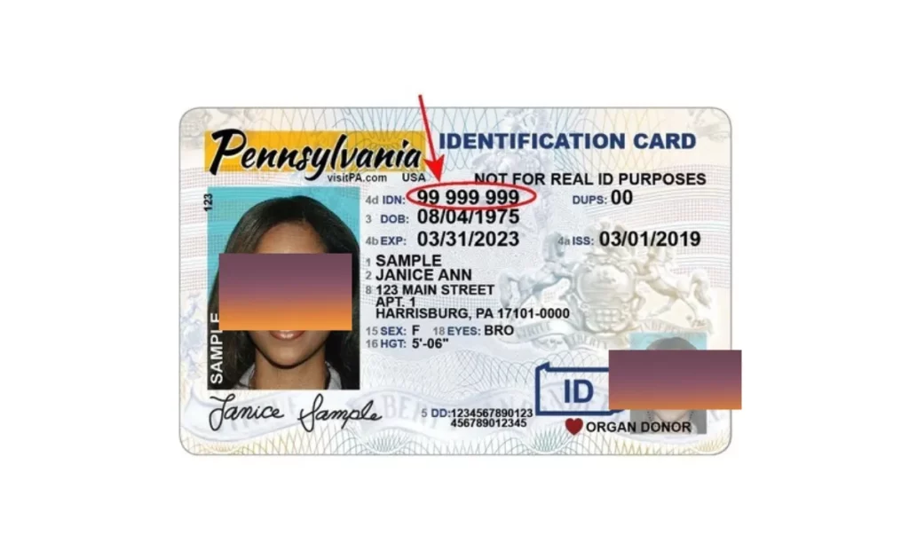 government issued identification number apartment application, what is a government issued identification number apartment application, What Is A Government-Issued Identification Number In An Apartment Application, Government-Issued Identification Number sample